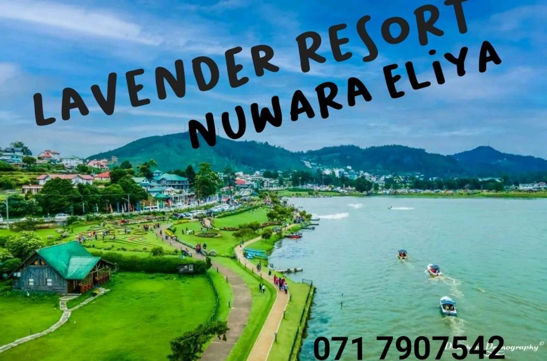 Lavender Resort Nuwara Eliya Extérieur photo