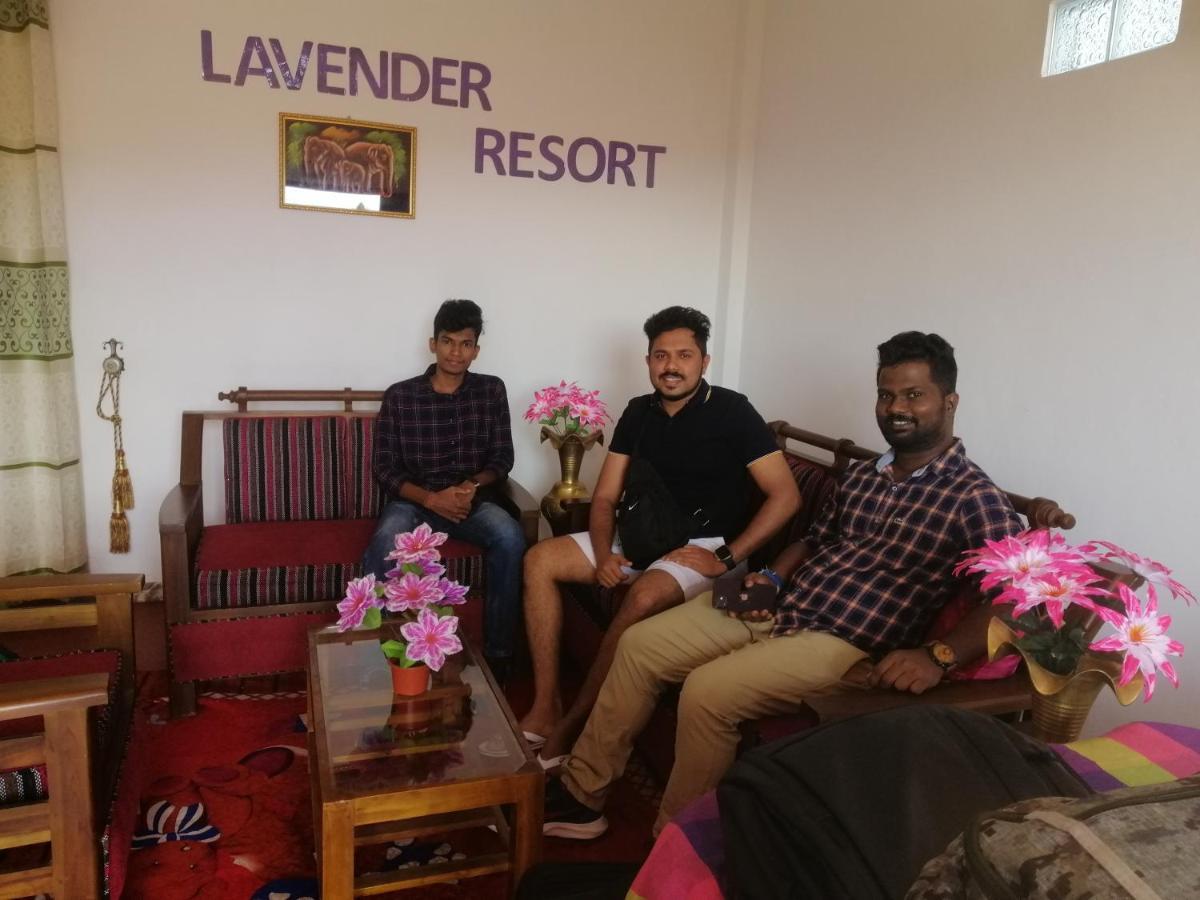 Lavender Resort Nuwara Eliya Extérieur photo
